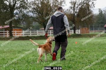 IMG_0529.jpg