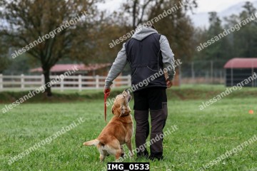 IMG_0533.jpg