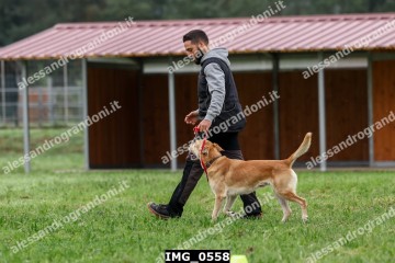 IMG_0558.jpg