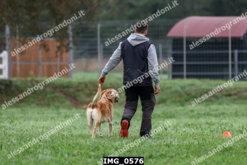 IMG_0576.jpg