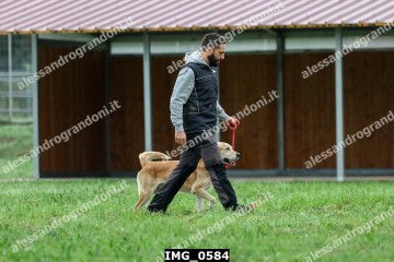 IMG_0584.jpg