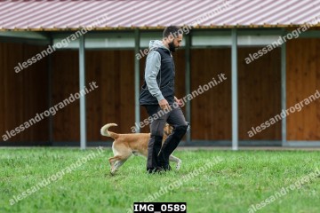 IMG_0589.jpg
