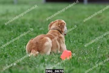 IMG_0670.jpg