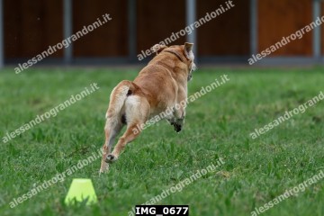 IMG_0677.jpg