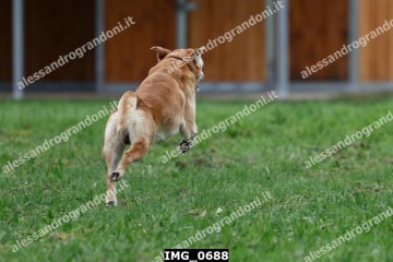 IMG_0688.jpg