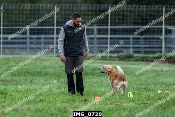 IMG_0720.jpg