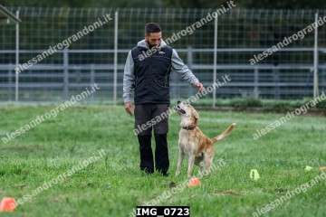 IMG_0723.jpg
