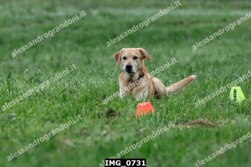 IMG_0731.jpg
