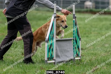 IMG_0740.jpg