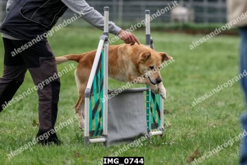 IMG_0744.jpg
