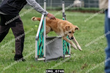 IMG_0746.jpg