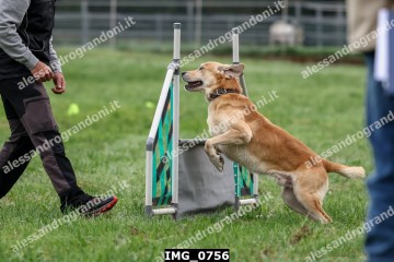 IMG_0756.jpg