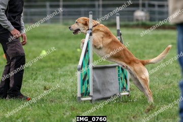 IMG_0760.jpg
