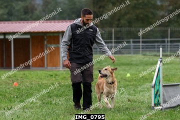 IMG_0795.jpg