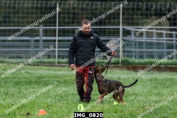 IMG_0820.jpg