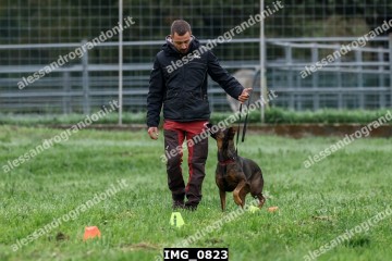 IMG_0823.jpg