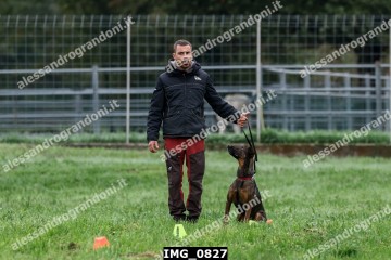 IMG_0827.jpg