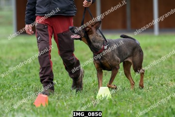 IMG_0850.jpg