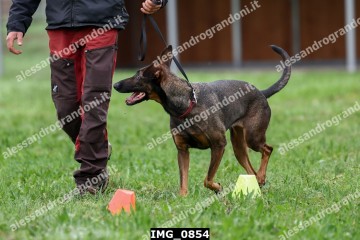 IMG_0854.jpg