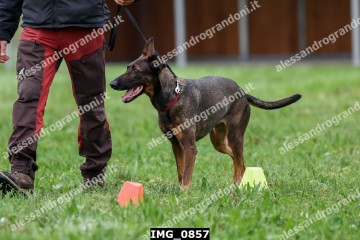 IMG_0857.jpg