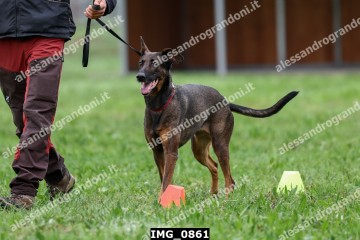 IMG_0861.jpg