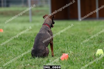 IMG_0869.jpg