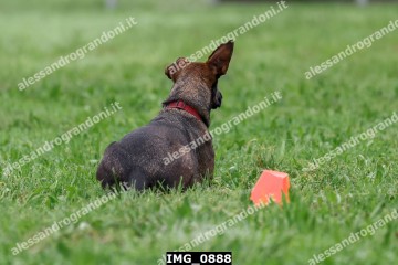 IMG_0888.jpg