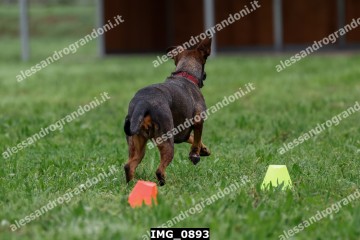 IMG_0893.jpg