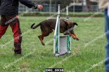 IMG_0938.jpg
