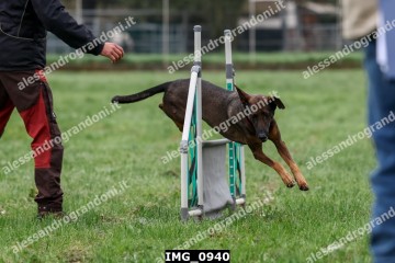 IMG_0940.jpg