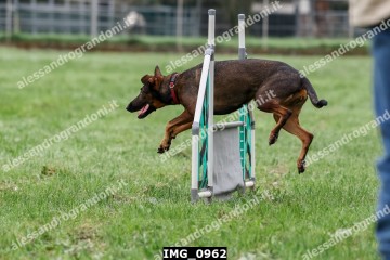 IMG_0962.jpg