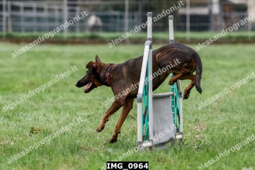 IMG_0964.jpg