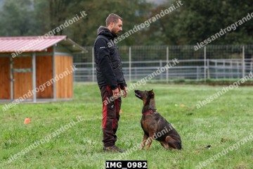 IMG_0982.jpg