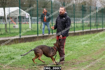 IMG_0997.jpg