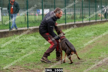 IMG_1000.jpg