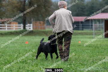 IMG_1005.jpg