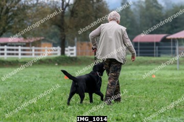 IMG_1014.jpg