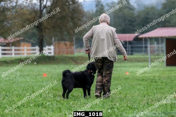 IMG_1018.jpg