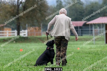 IMG_1021.jpg