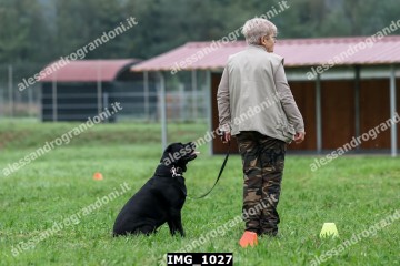 IMG_1027.jpg