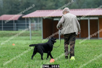 IMG_1033.jpg