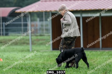 IMG_1037.jpg