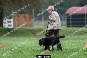 IMG_1044.jpg