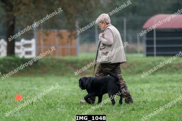 IMG_1048.jpg