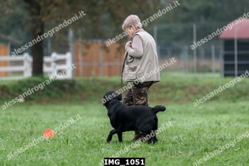 IMG_1051.jpg