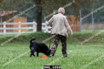 IMG_1059.jpg