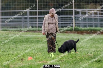 IMG_1066.jpg