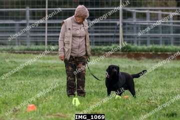 IMG_1069.jpg