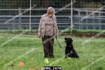 IMG_1079.jpg