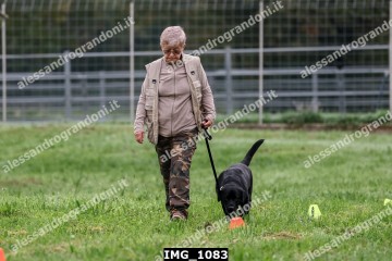 IMG_1083.jpg